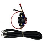 100A Mercury Relay with 3 ft. Welding Cables