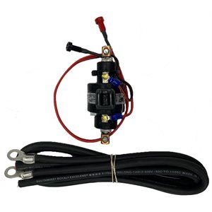 100A Mercury Relay with 3 ft. Welding Cables